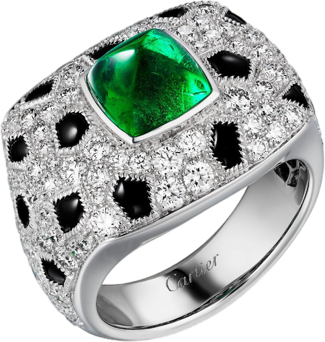 Cartier Panthere de Cartier