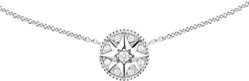 Подвеска  Dior ROSE DES VENTS MEDALLION 205840 (id 38889)