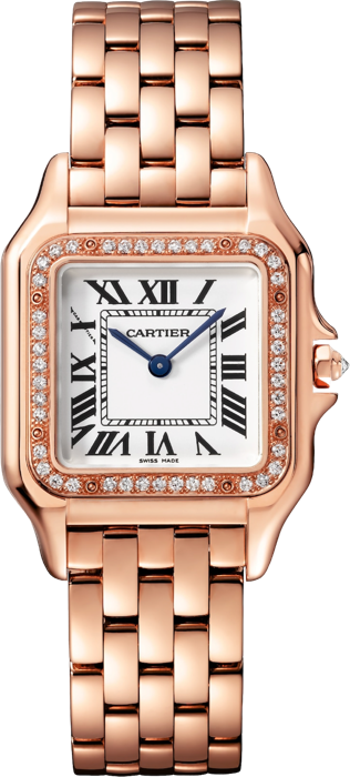 Cartier Panthère de Cartier watch