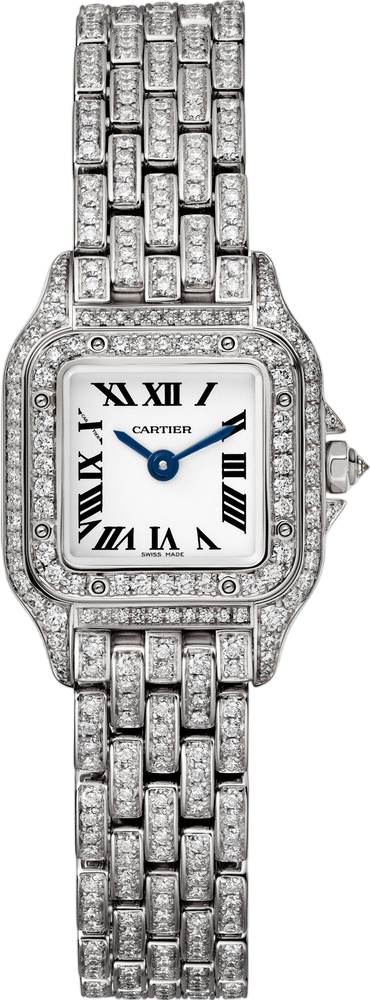 Cartier Panthère de Cartier watch