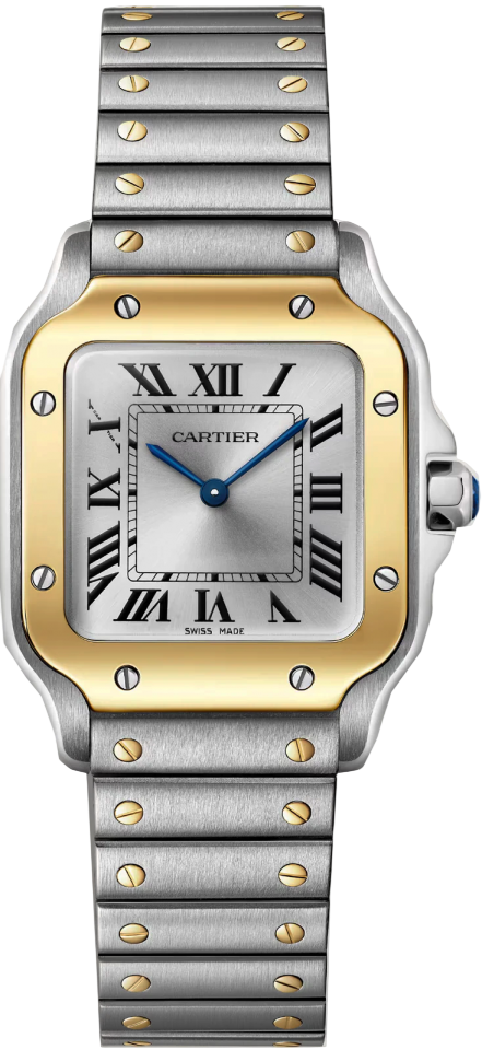 Santos De Cartier Watch W2SA0033 Santos De Cartier Watch W2SA0033