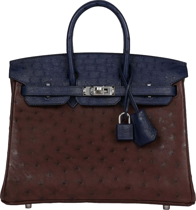 Hermes Bi-Color Birkin 25 Rouge Sellier and Bleu Saphir Ostrich Palladium Hardware