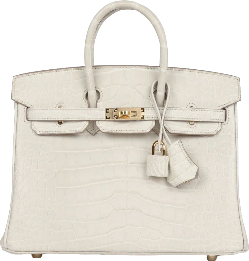 Hermes Birkin 25 Beton Matte Alligator Gold Hardware