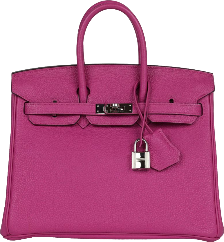Hermes Birkin 25 Magnolia Togo Palladium Hardware