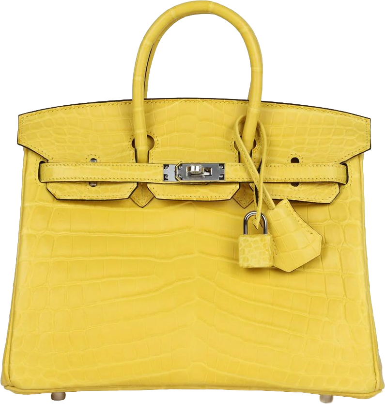Hermes Birkin 25 Mimosa Matte Niloticus Crocodile Palladium Hardware