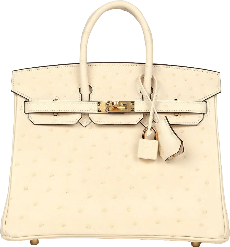 Hermes Birkin 25 Nata Ostrich Gold Hardware