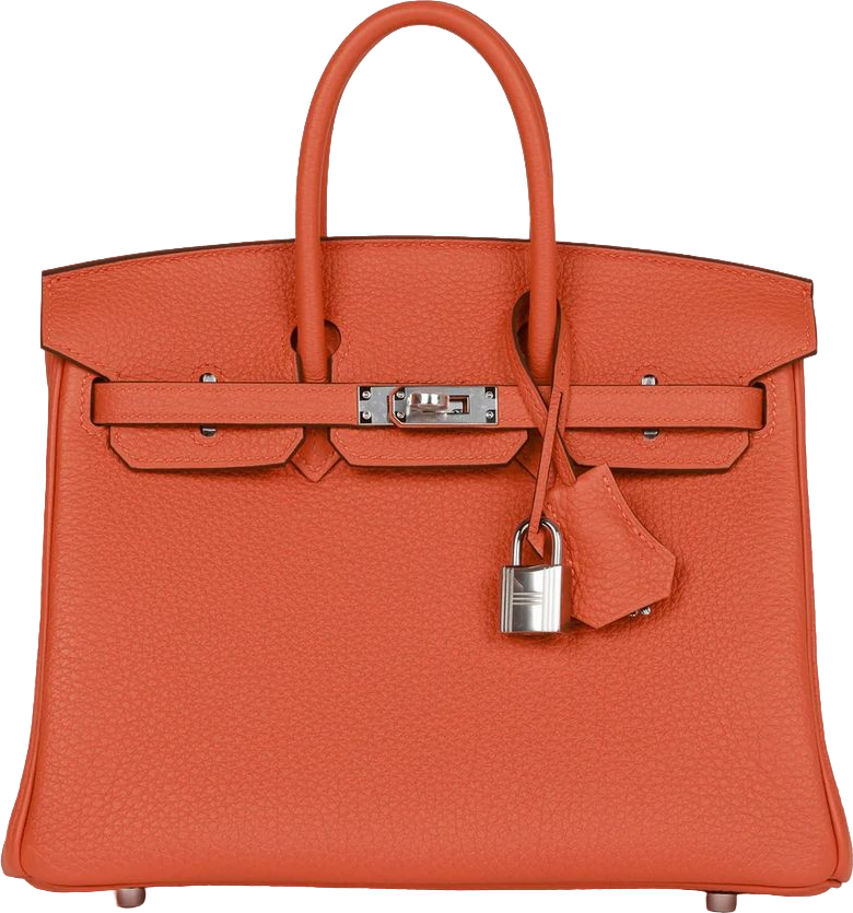 Hermes Birkin 25 Orange Togo Palladium Hardware