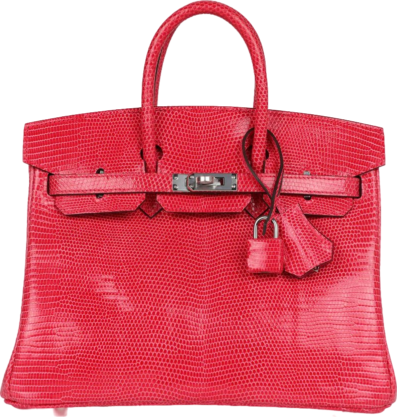 Hermes Birkin 25 Rose Extreme Varanus Niloticus Lizard Palladium Hardware