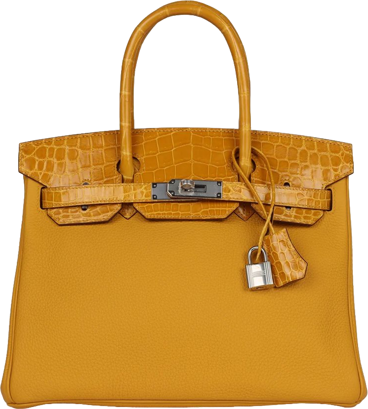 Hermes Birkin 30 Jaune Ambre Shiny Niloticus Crocodile and Togo Touch Palladium Hardware