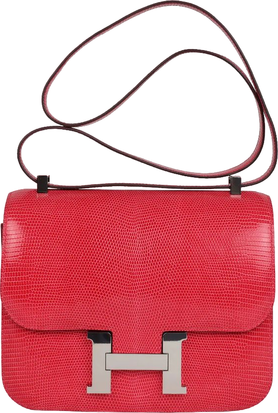 Hermes Constance 24 Rose Extreme Shiny Varanus Niloticus Lizard Palladium Hardware