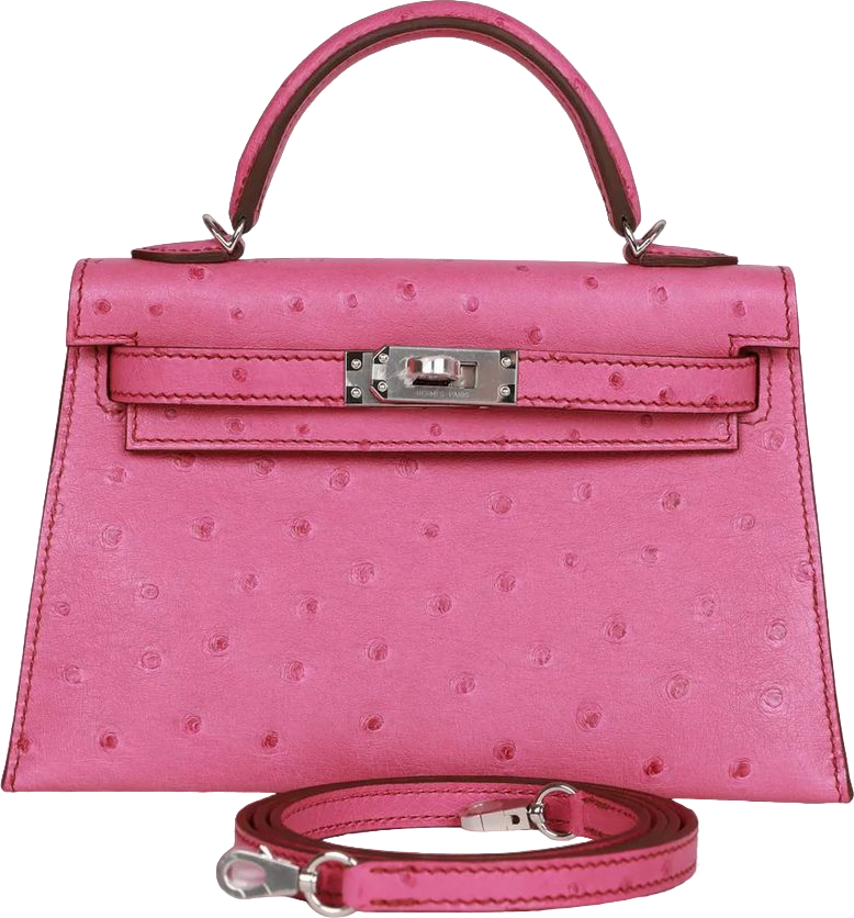 Hermes Kelly Sellier 20 Fuchsia Ostrich Palladium Hardware
