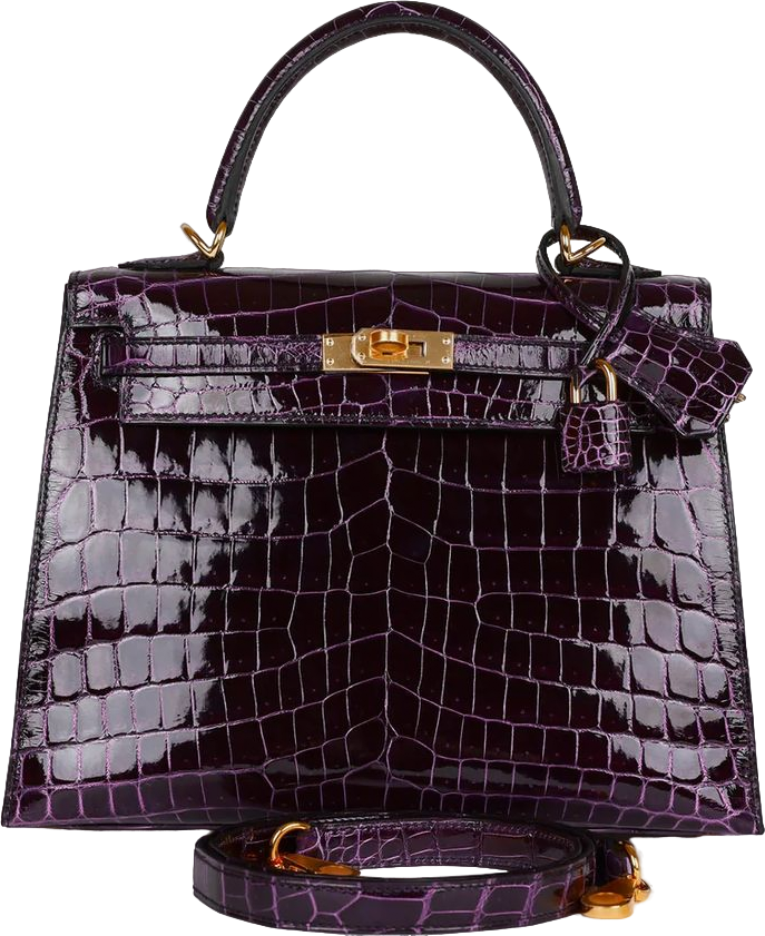 Hermes Kelly Sellier 25 Aubergine Shiny Niloticus Crocodile Gold Hardware