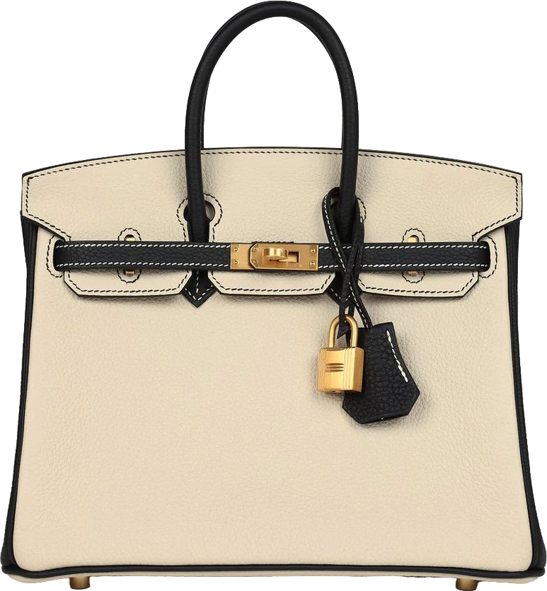 Hermes Special Order (HSS) Birkin 25 Craie and Black Togo Brushed Gold Hardware