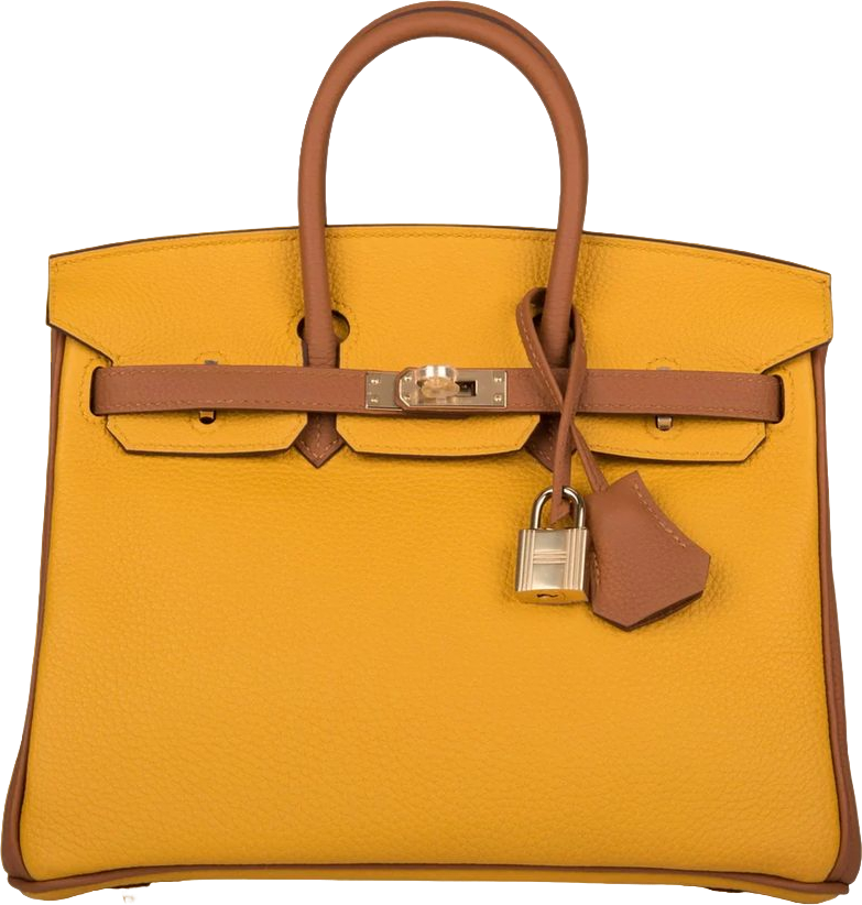 Hermes Special Order (HSS) Birkin 25 Jaune Ambre and Gold Togo Permabrass Hardware