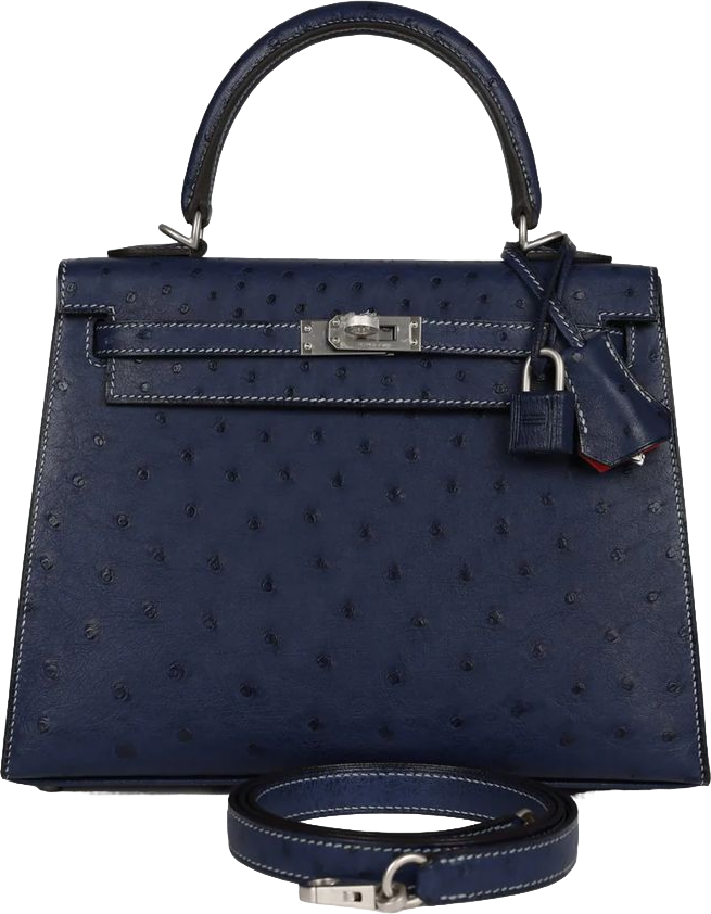 Hermes Special Order (HSS) Kelly Sellier 25 Bleu Iris Verso Ostrich Brushed Palladium Hardware