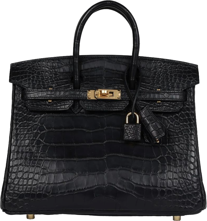 Hermes Birkin 25 Black Matte Alligator Gold Hardware