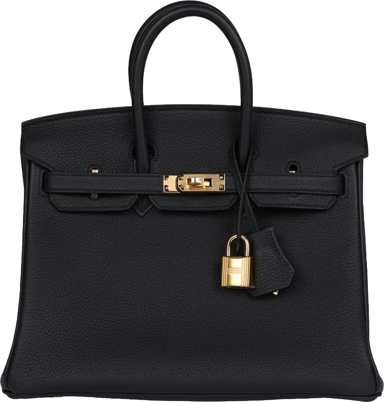 Hermes Birkin 25 Black Togo Gold Hardware