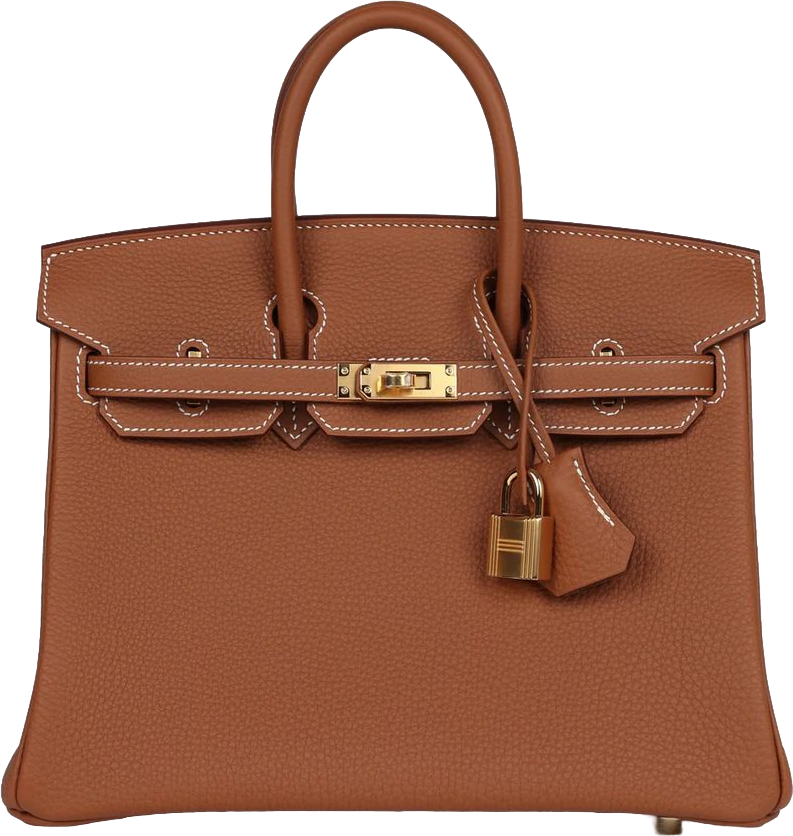 Hermes Birkin 25 Gold Togo Gold Hardware