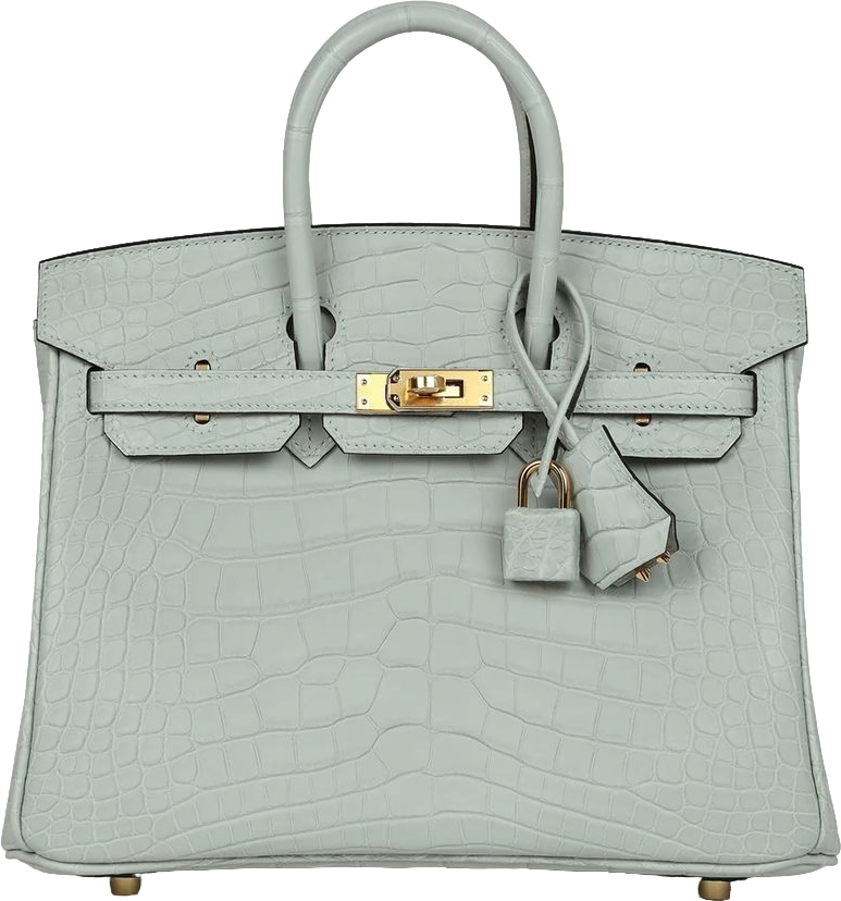 Hermes Birkin 25 Gris Neve Matte Alligator Gold Hardware