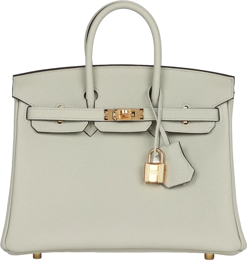 Hermes Birkin 25 Gris Neve Togo Gold Hardware