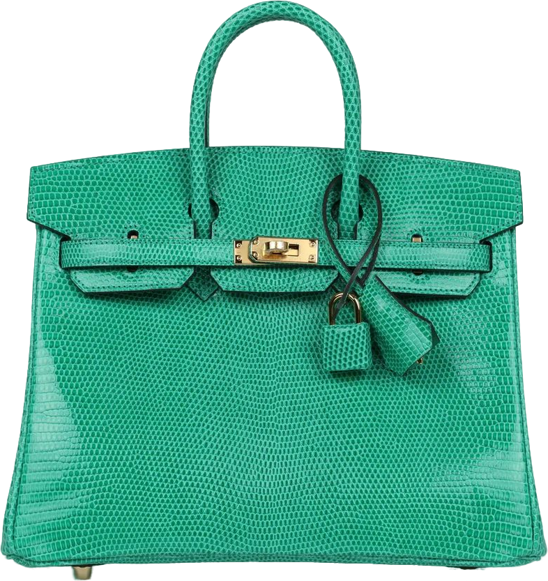 Hermes Birkin 25 Menthe Varanus Niloticus Lizard Gold Hardware