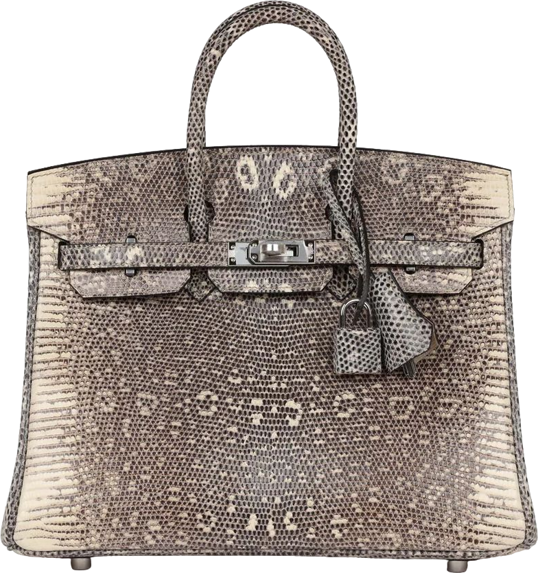 Hermes Birkin 25 Ombre Varanus Salvator Lizard Palladium Hardware
