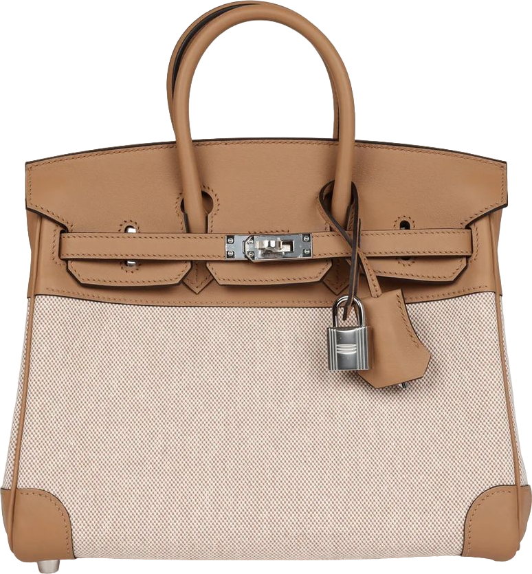 Hermes Birkin 25 Toile H and Chai Swift Palladium Hardware