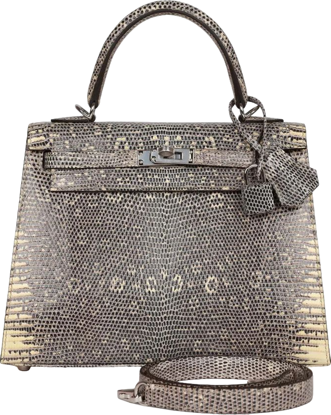 Hermes Kelly Sellier 25 Ombre Varanus Salvator Lizard Palladium Hardware