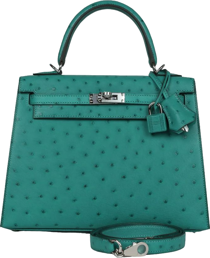 Hermes Kelly Sellier 25 Vert Verone Ostrich Palladium Hardware