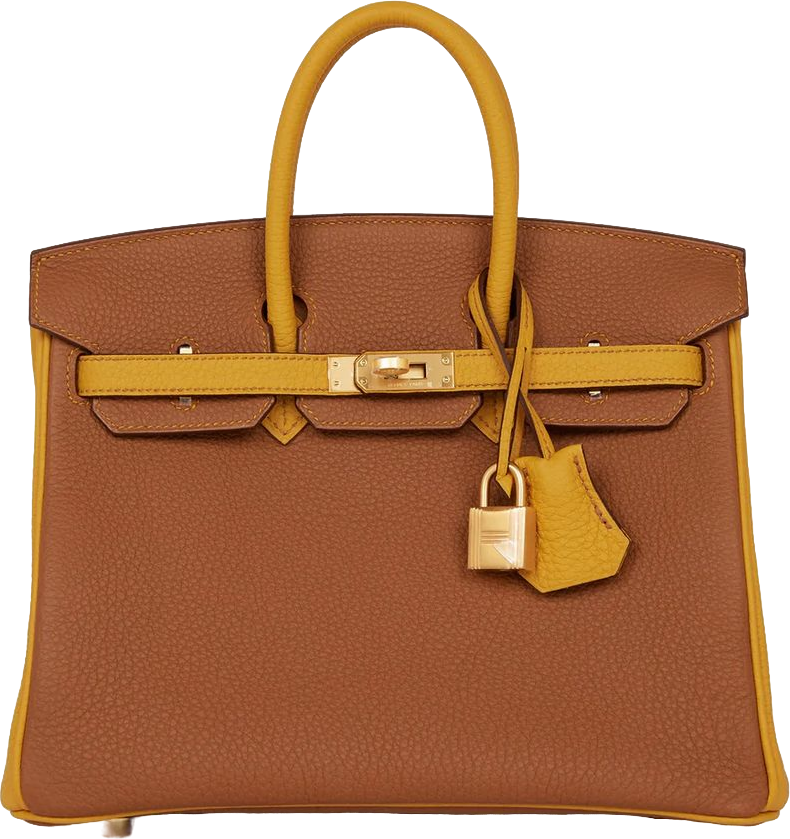 Hermes Special Order (HSS) Birkin 25 Gold and Jaune Ambre Togo Brushed Gold Hardware