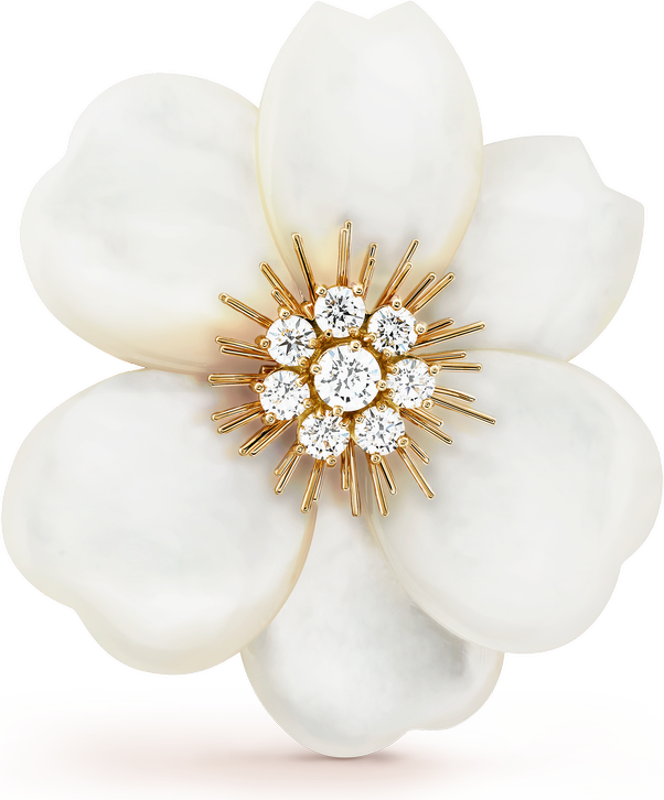 Van Cleef & Arpels Брошь Rose de Noël