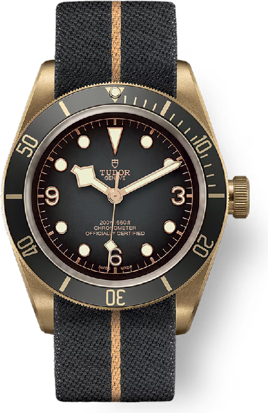 Tudor Black Bay Bronze