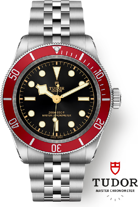 Tudor Black Bay