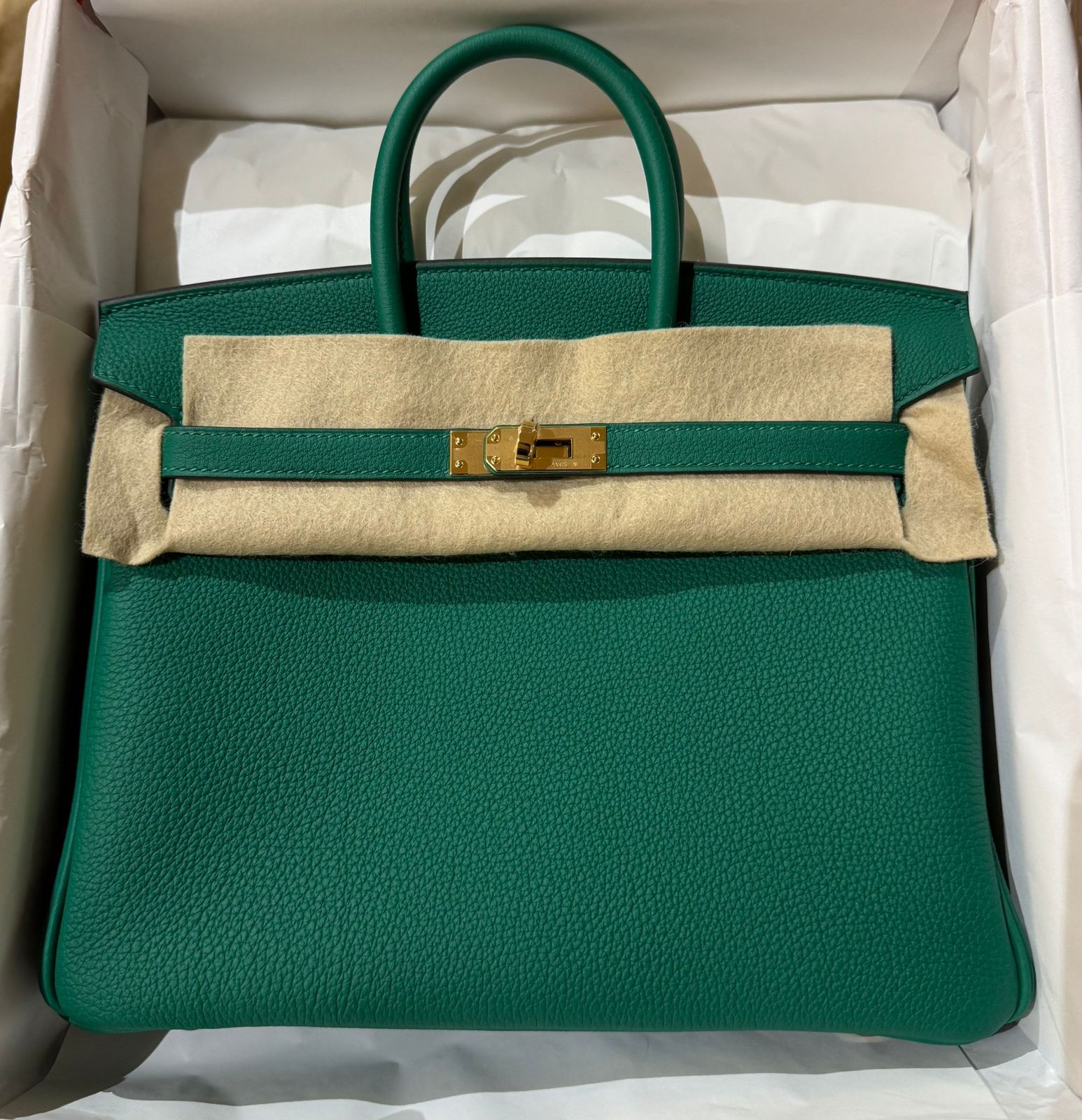 Hermes Birkin 25 vert vérité / Togo / GHW W
