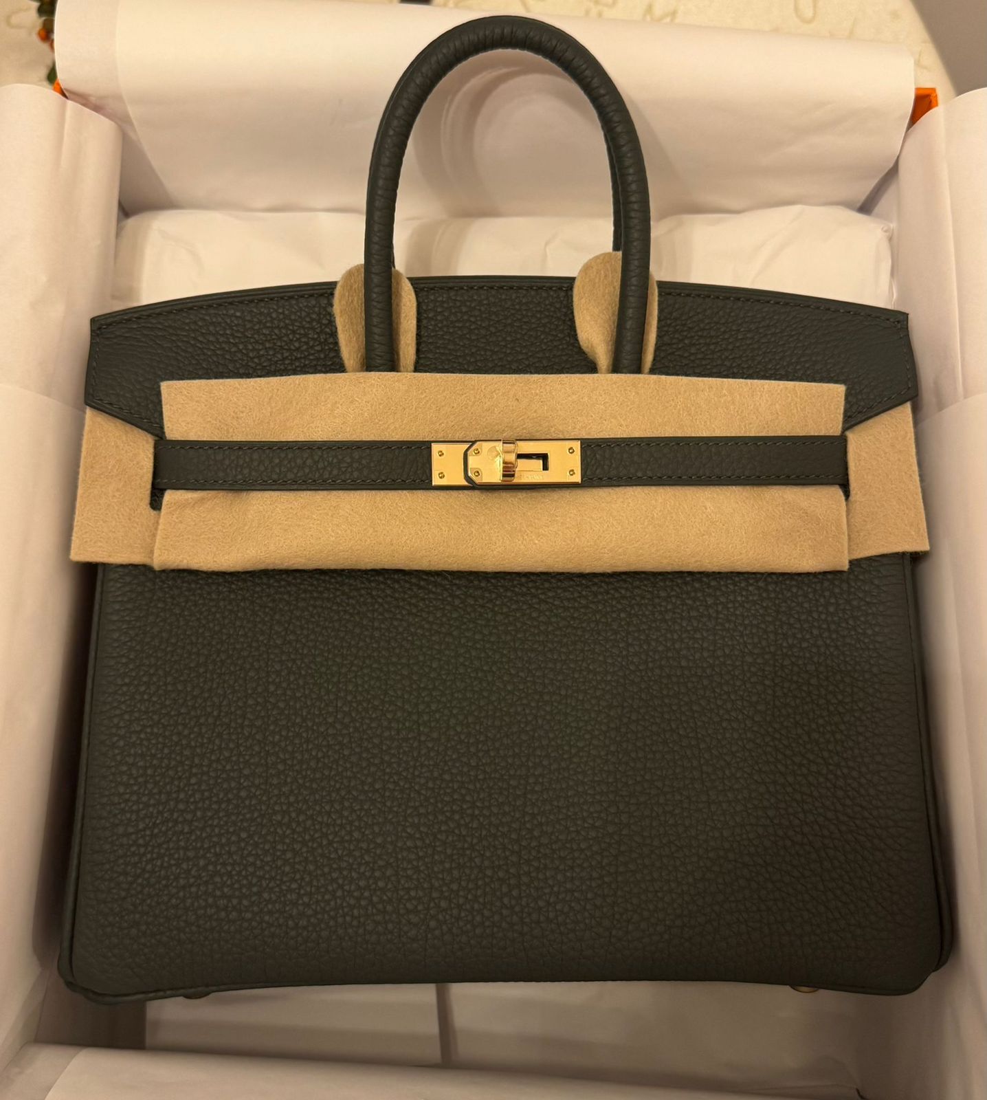 Hermes Birkin 25 Vert Mangrove / Togo / ghw W