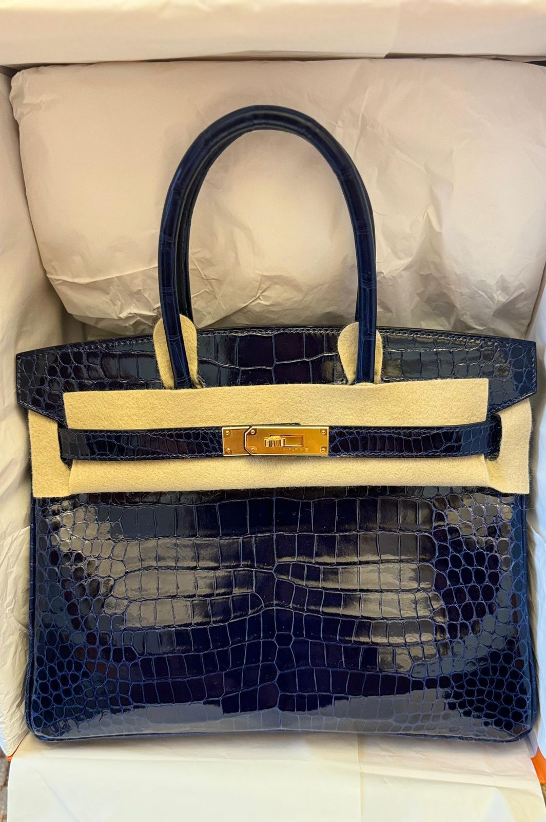 Hermes Birkin 30 croc bucolor / porosus / ghw
