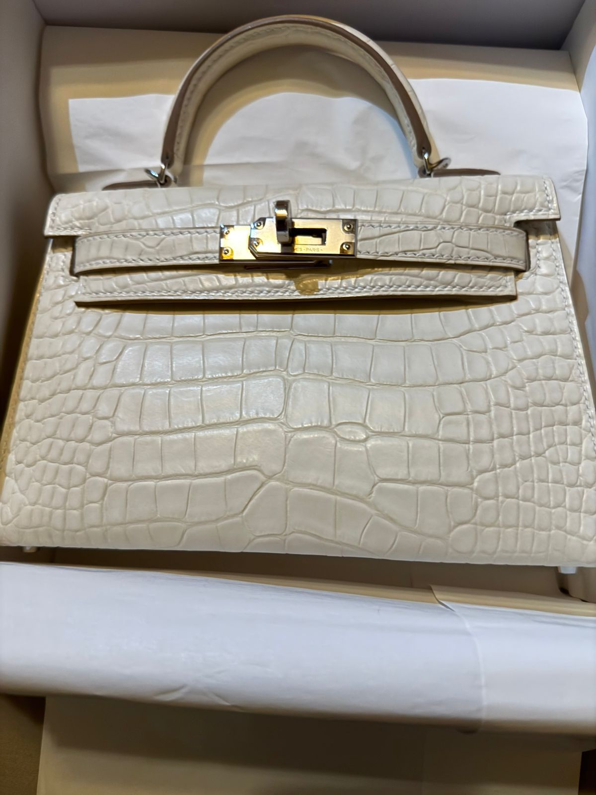 Hermes Mini Kelly 20 Satin Nata / Boreal Alligator / Phw W